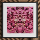 Tickled Pink - Fuschia Orchid Op Art Print / Canvas Framed Artwork Symmetrical Kaleidoscopic Pattern Pink Orchids Dark Orchid Op Art,