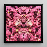 Tickled Pink - Fuschia Orchid Op Art Print / Canvas Framed Square Canvas Print Symmetrical Kaleidoscopic Pattern Vibrant Orchid Op Art,
