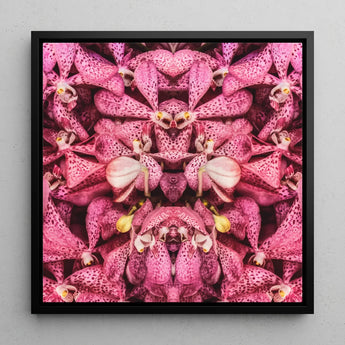Tickled Pink - Fuschia Orchid Op Art Print / Canvas Framed Square Canvas Print Symmetrical Kaleidoscopic Pattern Vibrant Orchid Op Art,