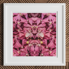 Tickled Pink - Fuschia Orchid Op Art Print