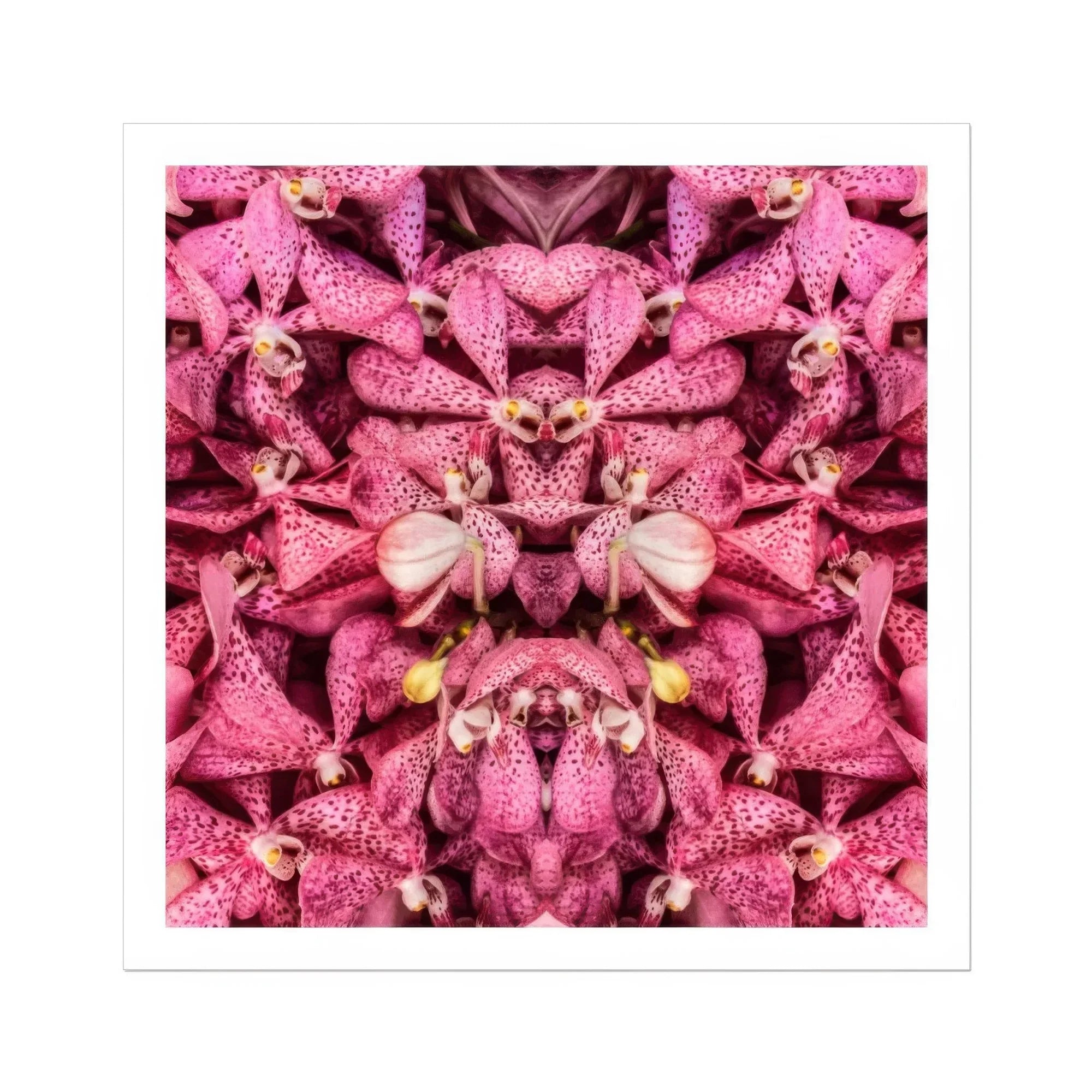 Tickled Pink - Fuschia Orchid Op Art Print Posters Prints & Visual Artwork