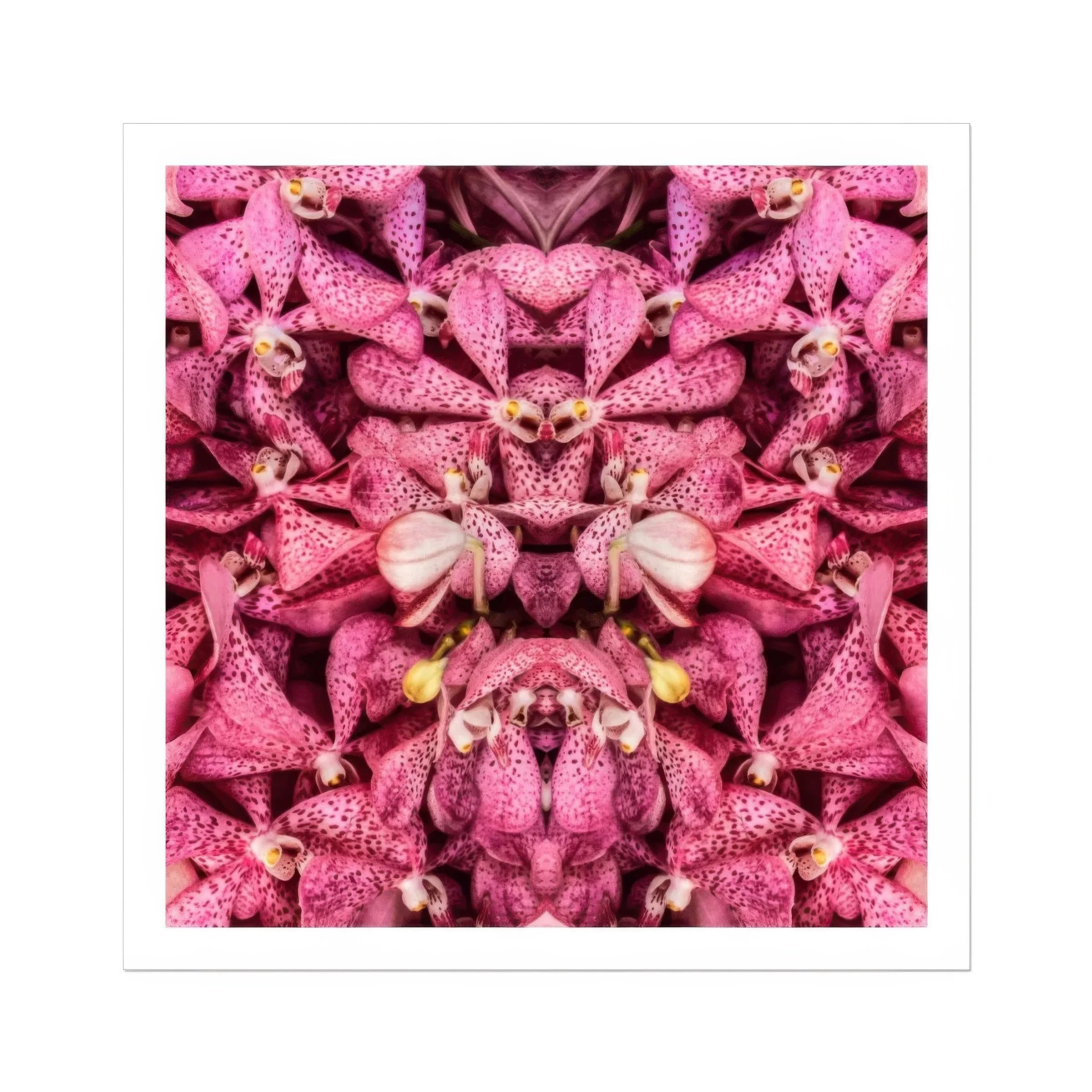 Tickled Pink - Fuschia Orchid Op Art Print Posters Prints & Visual Artwork