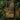 Tiger in a Tropical Storm - Henri Rousseau Phone Case Iphone, Creature Mid-pounce Beneath