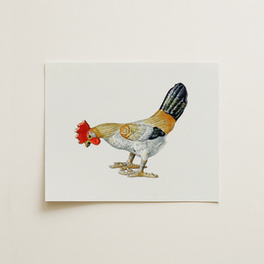 Toy Rooster - Lillian Hunter 1930s Kitchen Art Print / Canvas, 14x11’’ / 36x28cm / Unframed / no Border, Posters Prints & Visual Artwork,