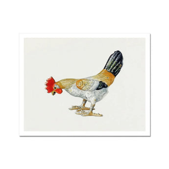 Toy Rooster - Lillian Hunter 1930s Kitchen Art Print / Canvas Colorful Rooster White Orange Black Feathers Red Comb Lillian Hunter 1930s,