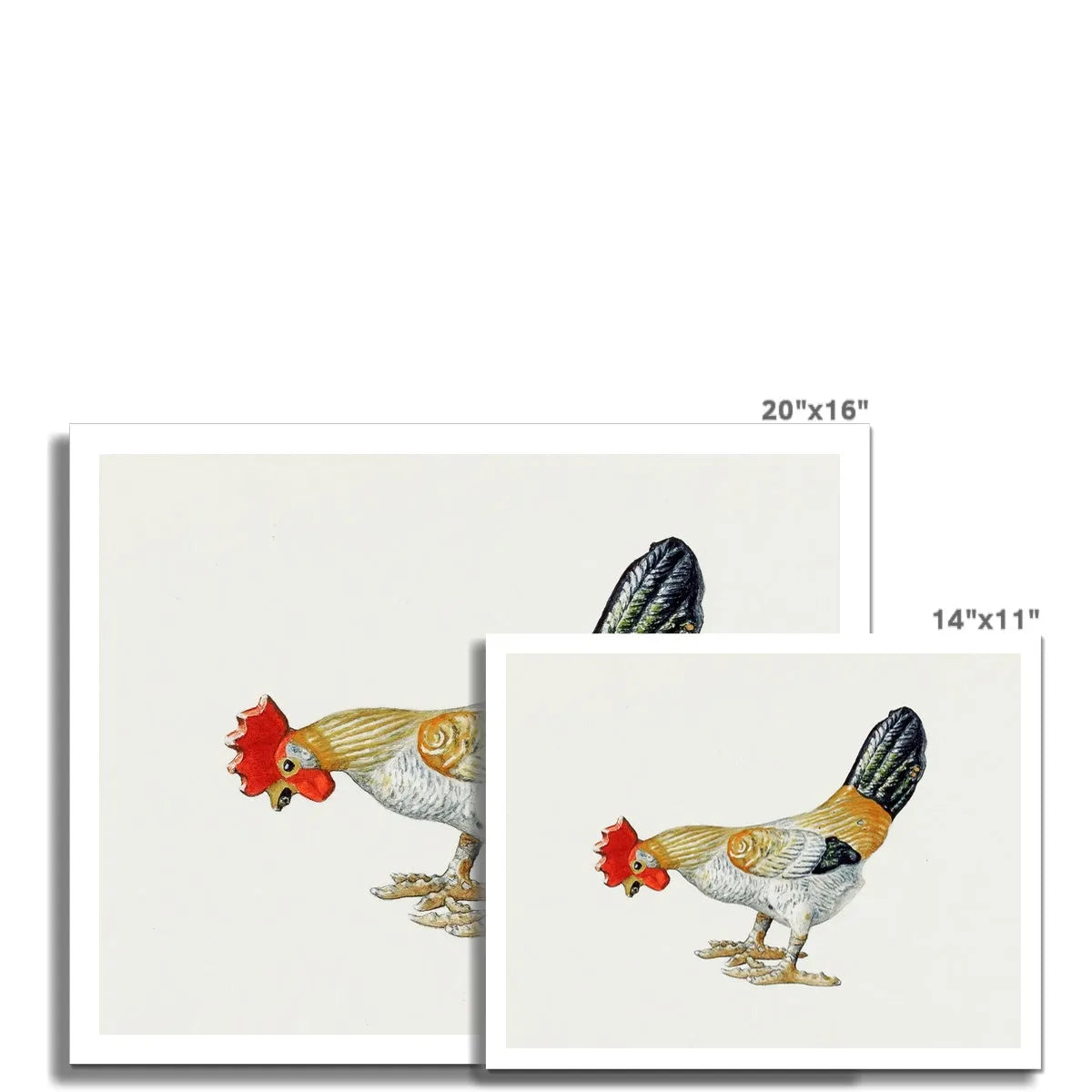 Toy Rooster By Lillian Hunter Fine Art Print - Posters Prints & Visual Artwork - Aesthetic Art