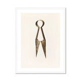 Trimming Shears - Harold Ballerd Farmhouse Art Print, Antique Metal Scissors Shears Spring-like Handle Design
