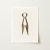 Trimming Shears - Harold Ballerd Farmhouse Art Print / Canvas Antique Bronze-colored Metal Tailor’s Circular Handle Pointed, Agrarian