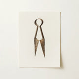 Trimming Shears - Harold Ballerd Farmhouse Art Print / Canvas Antique Bronze-colored Metal Scissors Circular Handle Worn Rusted, Agrarian