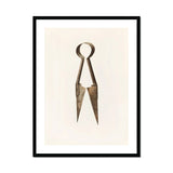 Trimming Shears - Harold Ballerd Farmhouse Art Print, Vintage Metal Scissors Shears Pointed Blades