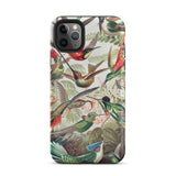 Trochilidae - Ernst Haeckel Hummingbird Iphone Case, 11 Pro Max / Matte, Hummingbird-patterned Phone Case
