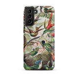Trochilidae - Ernst Haeckel Hummingbird Samsung Case, Galaxy S21 Plus / Matte, Phone Case Vibrant Detailed Illustration Hummingbirds Natural