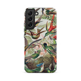 Trochilidae - Ernst Haeckel Hummingbird Samsung Case, Galaxy S22 Plus / Matte, Smartphone Case Vibrant Detailed Illustration Hummingbirds