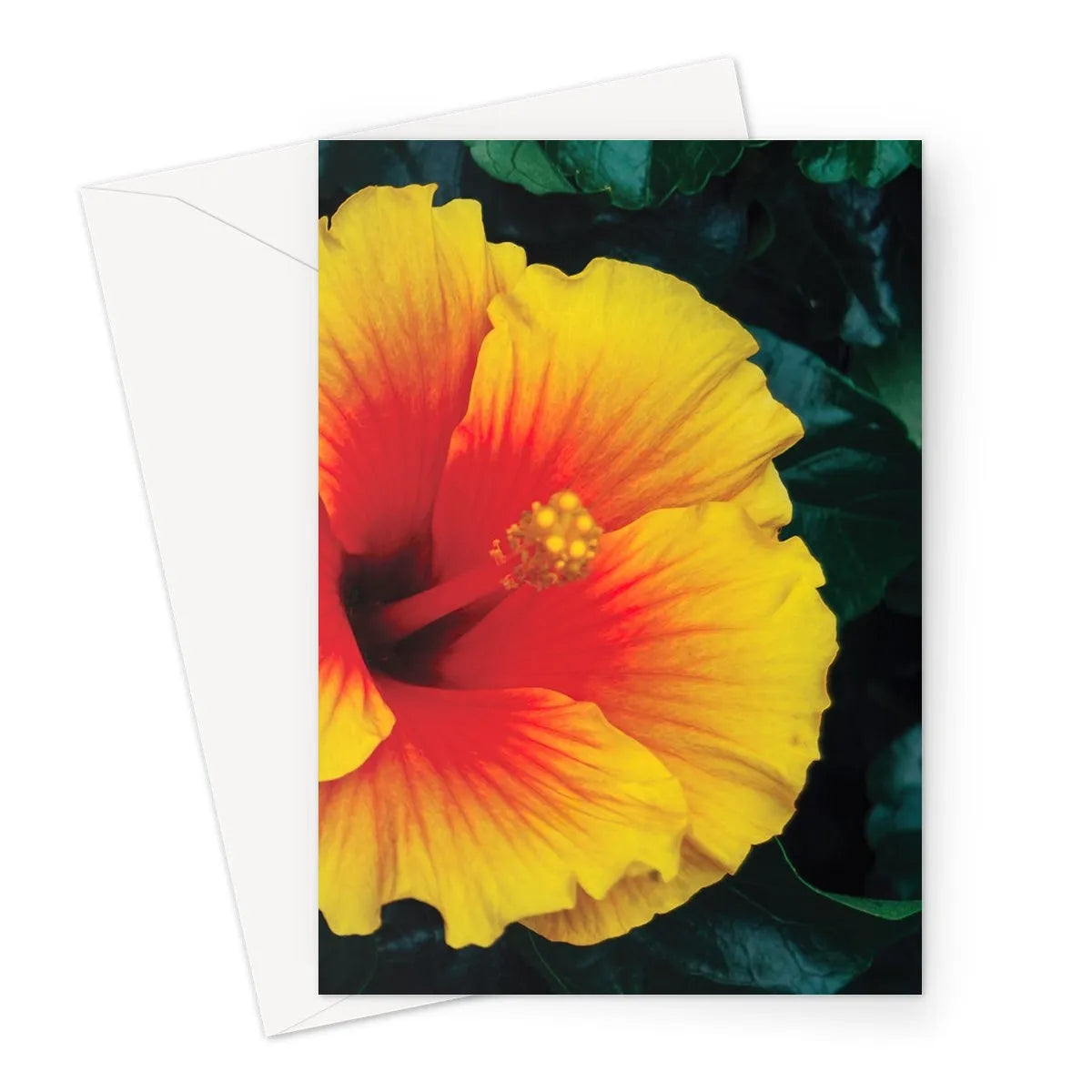 Tropicanarama Greeting Card - A5 Portrait / 1 Card - Greeting & Note Cards - Aesthetic Art