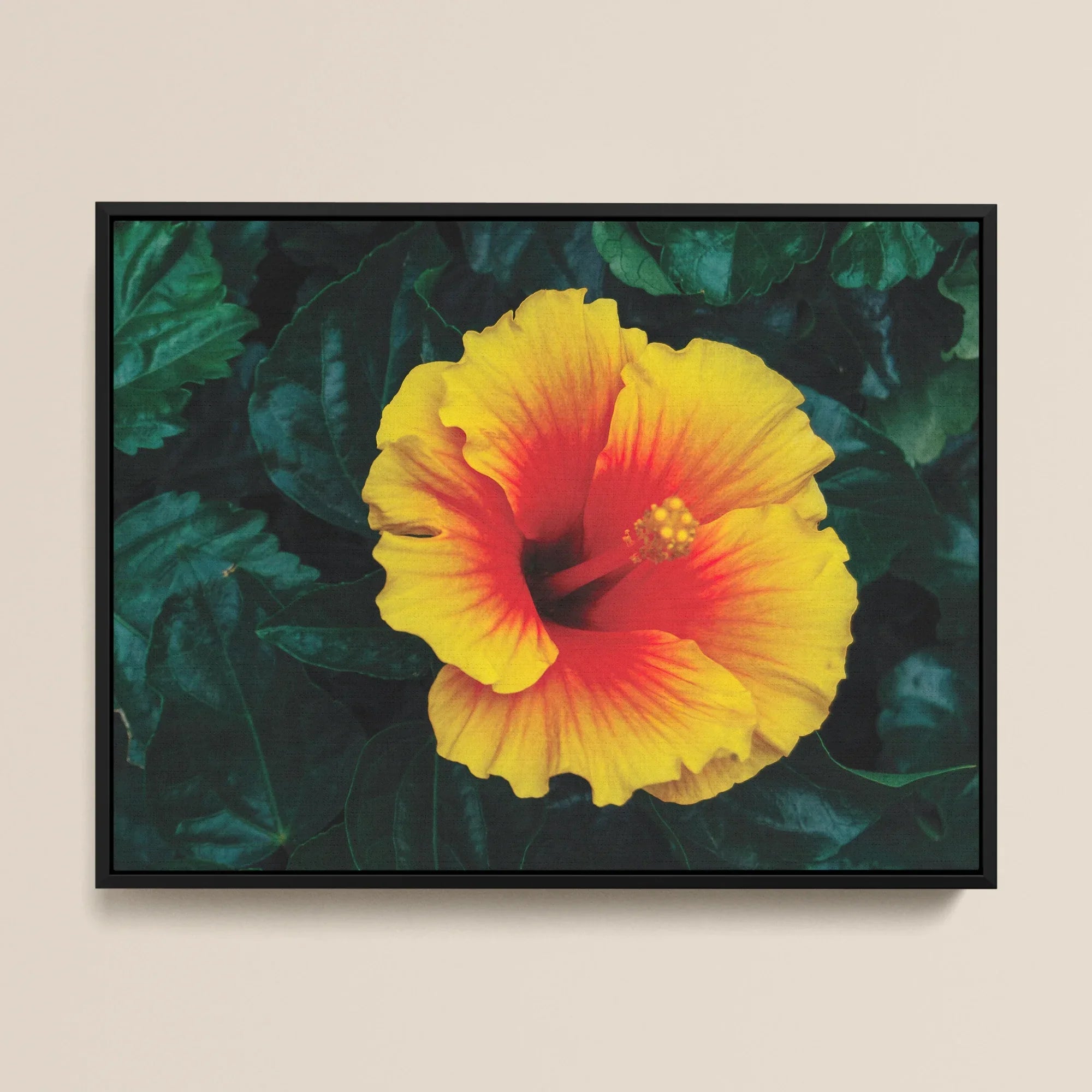 Tropicanarama - Orange Hibiscus Art Framed Canvas Posters Prints & Visual Artwork