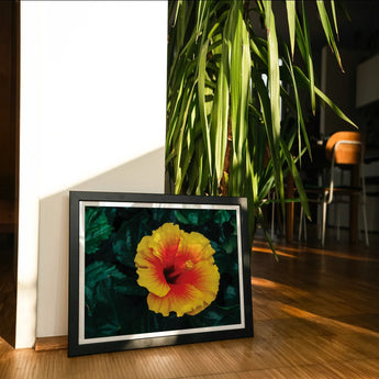Tropicanarama - Tropical Hibiscus Art Print / Canvas Framed Photograph Vibrant Orange-yellow Flower, Prints
