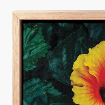 Vibrant Yellow Orange Hibiscus Flower Printed Canvas Framed Tropicanarama Art Print, Tropical