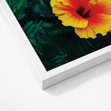 White-framed Print Vibrant Yellow Red Hibiscus Flower Deep Tropicanarama Art, Tropical
