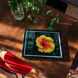 Tropicanarama - Tropical Hibiscus Art Print, Framed Photograph Yellow Red Hibiscus Flower