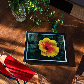 Tropicanarama - Tropical Hibiscus Art Print, Framed Photograph Yellow Red Hibiscus Flower