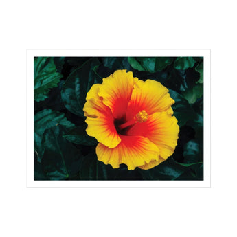 Tropicanarama - Tropical Hibiscus Art Print, Vibrant Yellow Red Hibiscus Flower Bloom
