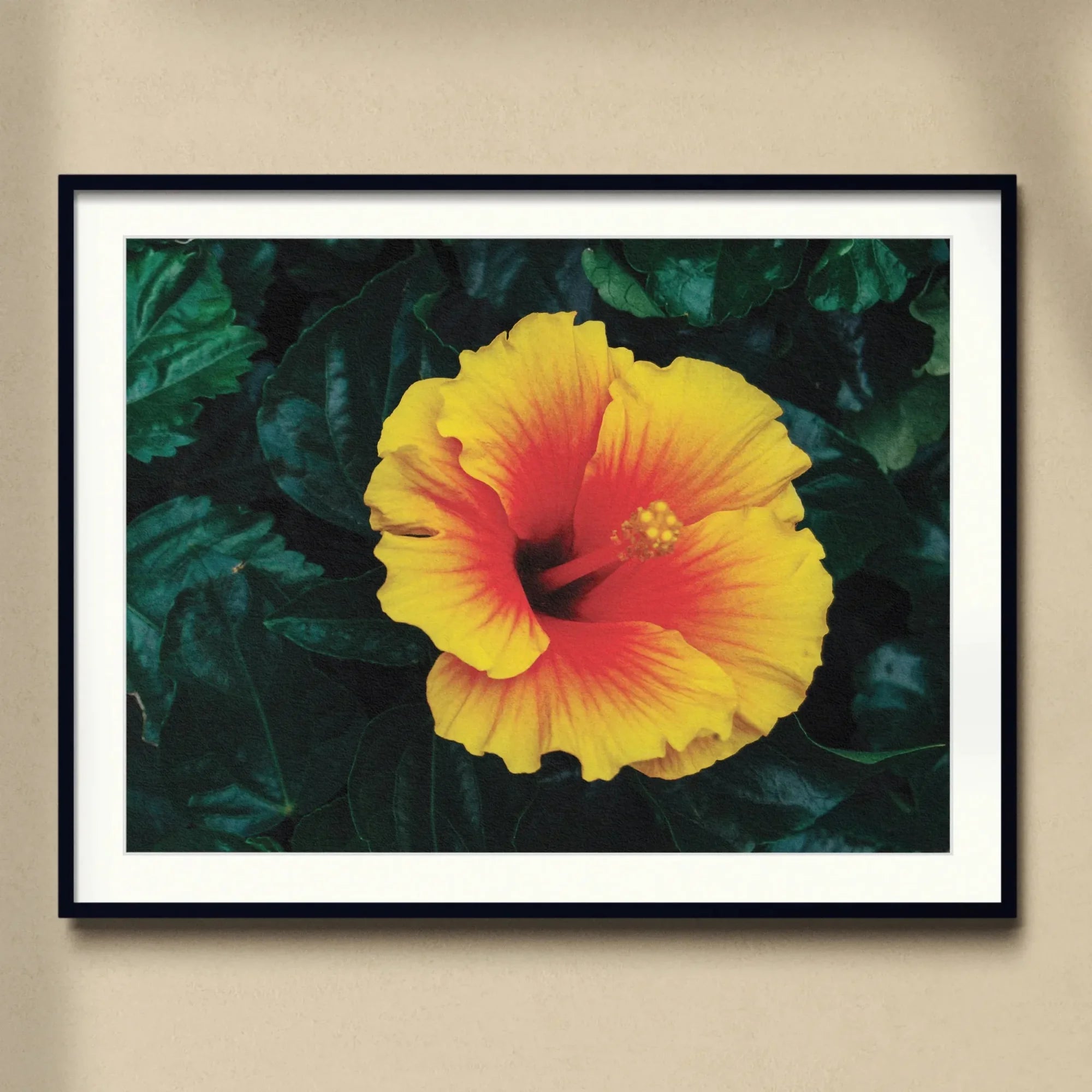 Tropicanarama - Tropical Hibiscus Art Print, Vibrant Yellow Red Hibiscus Flower Bloom