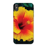 Tropicanarama - Tropical Hibiscus Iphone Case, x / Matte, Vibrant Yellow Red Hibiscus Flower Phone Case