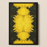 Tweedledee - Chrysanthemum Op Art Framed Canvas, Symmetrical Arrangement Bright Yellow Chrysanthemum Flowers Dark Background