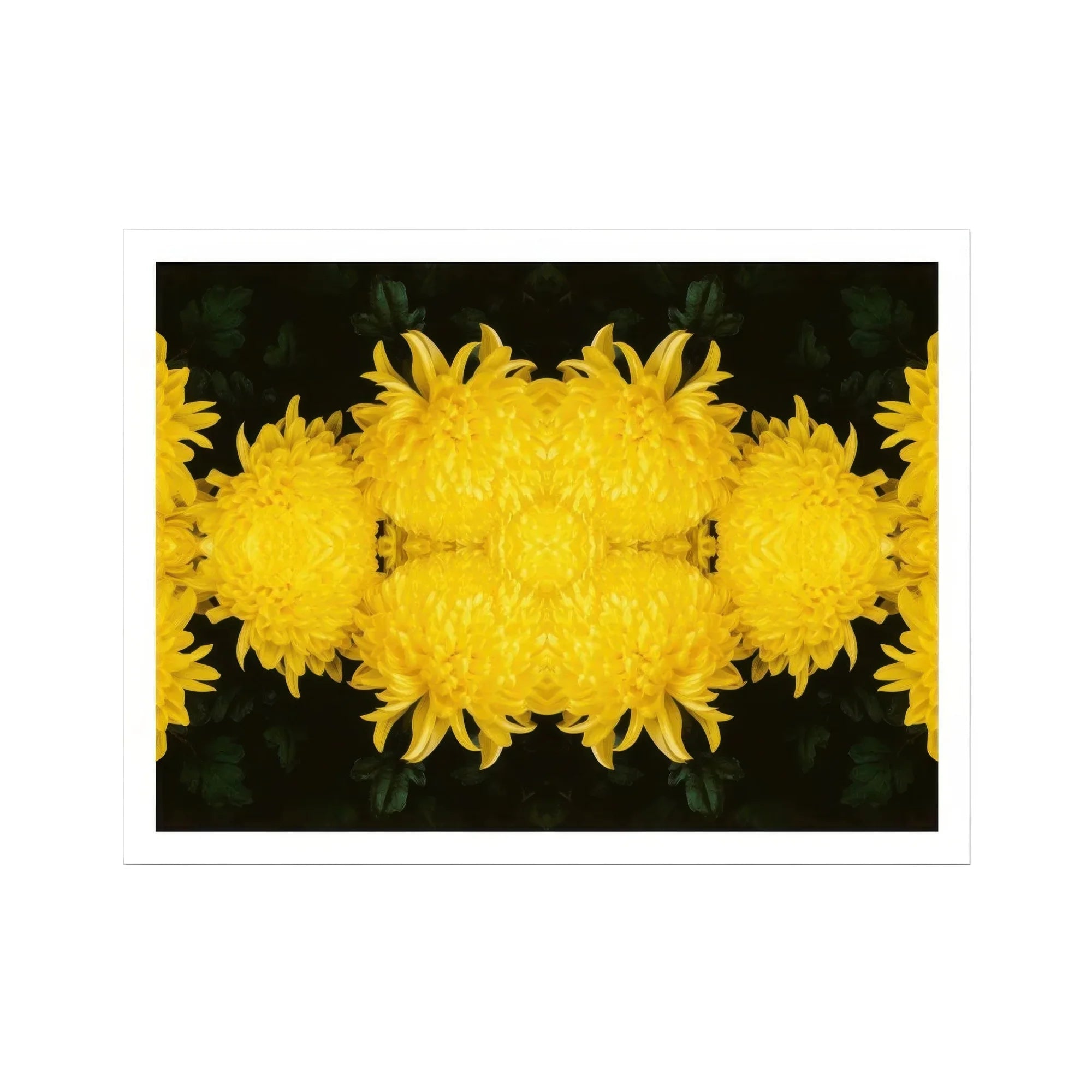 Tweedledee - Golden Chrysanthemum Op Art Print, Bright Yellow Chrysanthemum Flowers Arranged Symmetrical Pattern