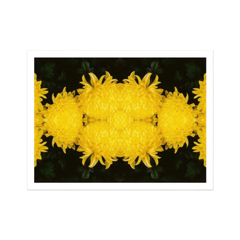 Tweedledee - Golden Chrysanthemum Op Art Print, Bright Yellow Chrysanthemum Flowers Arranged Symmetrical Pattern