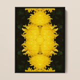 Tweedledee - Golden Chrysanthemum Op Art Print / Canvas, 12x16’’ / 31x41cm / Black Frame, Posters Prints & Visual Artwork, Toby Leon