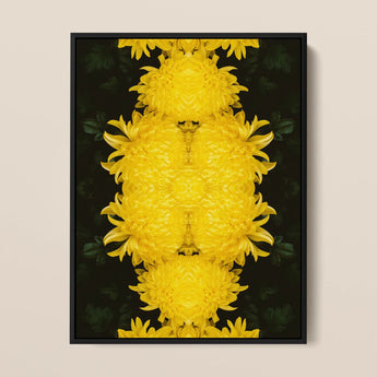 Tweedledee - Golden Chrysanthemum Op Art Print / Canvas, 12x16’’ / 31x41cm / Black Frame, Posters Prints & Visual Artwork, Toby Leon