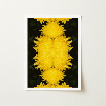 Tweedledee - Golden Chrysanthemum Op Art Print / Canvas Framed Symmetrical Vibrant Yellow Pattern Floral Photography, Botanical Dreamscape,
