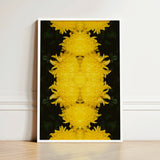 Framed Artwork Symmetrical Kaleidoscopic Pattern Vibrant Yellow Chrysanthemums Chrysanthemum Floral Photography, Botanical Dreamscape, Art
