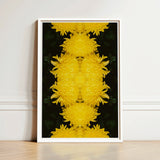 Framed Artwork Symmetrical Kaleidoscopic Pattern Vibrant Yellow Chrysanthemums Chrysanthemum Floral Photography, Botanical Dreamscape, Art