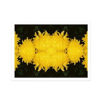 Tweedledee - Golden Chrysanthemum Op Art Print / Canvas Bright Yellow Chrysanthemum Flowers Arranged Symmetrical Pattern Floral