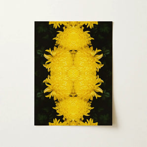 Tweedledee - Golden Chrysanthemum Op Art Print / Canvas, Chrysanthemum Floral Photography, Botanical Dreamscape, Art Nouveau