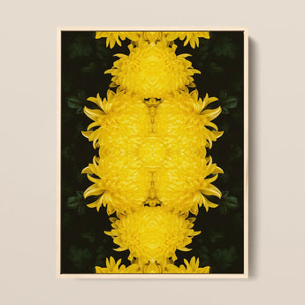 Tweedledee - Golden Chrysanthemum Op Art Print / Canvas Framed Artwork Symmetrical Kaleidoscopic Pattern Vibrant Yellow Chrysanthemums
