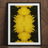 Tweedledee - Golden Chrysanthemum Op Art Print / Canvas Framed Art Print Symmetrical Vibrant Yellow Chrysanthemum Composition Floral