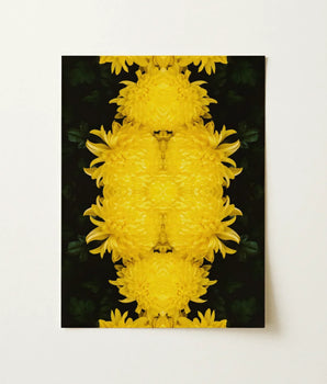 Vibrant Yellow Chrysanthemum Flowers Arranged Symmetrical Mirrored Pattern Floral Photography, Botanical Dreamscape, Art Nouveau