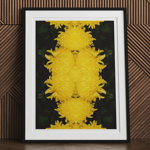 Tweedledee - Golden Chrysanthemum Op Art Print, Framed Artwork Symmetrical Pattern Bright Yellow Flowers Dark