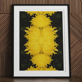 Tweedledee - Golden Chrysanthemum Op Art Print, Framed Artwork Symmetrical Pattern Bright Yellow Flowers Dark
