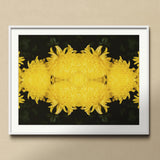 Tweedledee - Golden Chrysanthemum Op Art Print, Mirrored Yellow Chrysanthemum Flowers Symmetrical Pattern
