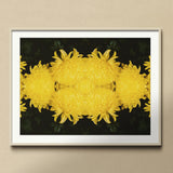 Tweedledee - Golden Chrysanthemum Op Art Print, Mirrored Yellow Chrysanthemum Flowers Symmetrical Pattern