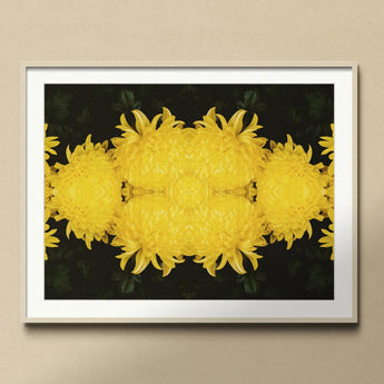 Tweedledee - Golden Chrysanthemum Op Art Print, Mirrored Yellow Chrysanthemum Flowers Symmetrical Pattern