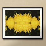Tweedledee - Golden Chrysanthemum Op Art Print, Mirrored Yellow Chrysanthemum Flowers Symmetrical Pattern