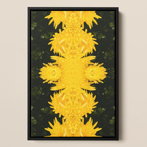 Tweedledum - Chrysanthemum Op Art Framed Canvas, Symmetrical Pattern Bright Yellow Sunflowers Dark Background
