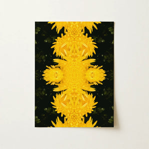 Tweedledum - Chrysanthemum Op Art Print / Canvas, 12x16’’ / 31x41cm / Unframed / no Border, Posters Prints & Visual Artwork, Toby Leon