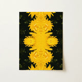 Tweedledum - Chrysanthemum Op Art Print / Canvas, 12x16’’ / 31x41cm / Unframed / no Border, Posters Prints & Visual Artwork, Toby Leon