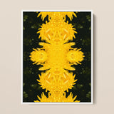 Tweedledum - Chrysanthemum Op Art Print / Canvas, 12x16’’ / 31x41cm / White Frame, Posters Prints & Visual Artwork, Toby Leon